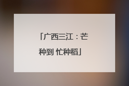 广西三江：芒种到 忙种稻
