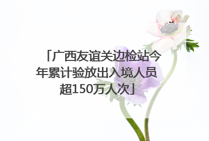 广西友谊关边检站今年累计验放出入境人员超150万人次