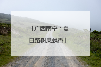 广西南宁：夏日路树果飘香