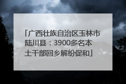 广西壮族自治区玉林市陆川县：3900多名本土干部回乡解纷促和