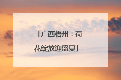 广西梧州：荷花绽放迎盛夏