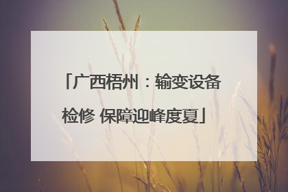 广西梧州：输变设备检修 保障迎峰度夏