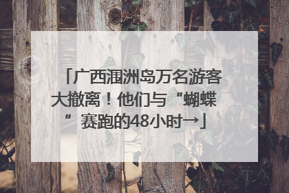 广西涠洲岛万名游客大撤离！他们与“蝴蝶”赛跑的48小时→