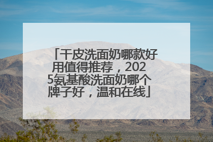 干皮洗面奶哪款好用值得推荐，2025氨基酸洗面奶哪个牌子好，温和在线