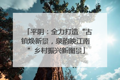 平阴：全力打造“古镇焕新景，泉韵映江南”乡村振兴新图景