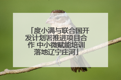 度小满与联合国开发计划署推进项目合作 中小微赋能培训落地辽宁庄河