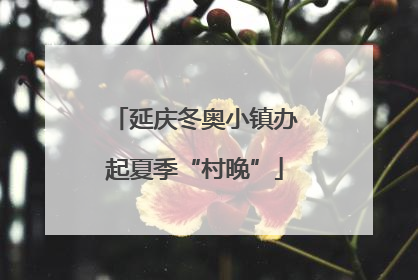 延庆冬奥小镇办起夏季“村晚”
