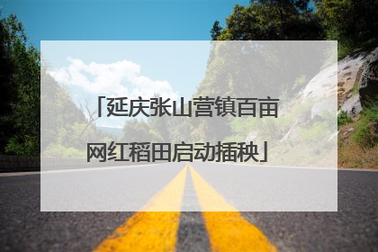 延庆张山营镇百亩网红稻田启动插秧