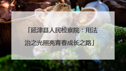 延津县人民检察院：用法治之光照亮青春成长之路