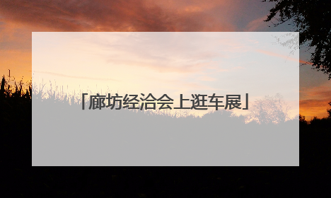 廊坊经洽会上逛车展