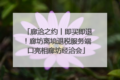 廊洽之约丨即买即退！廊坊离境退税服务端口亮相廊坊经洽会