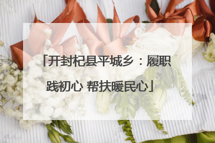 开封杞县平城乡：履职践初心 帮扶暖民心