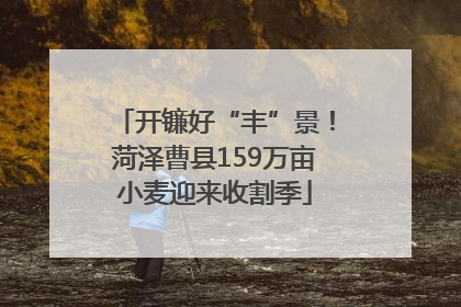 开镰好“丰”景！菏泽曹县159万亩小麦迎来收割季