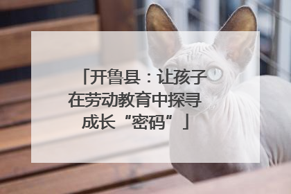 开鲁县：让孩子在劳动教育中探寻成长“密码”