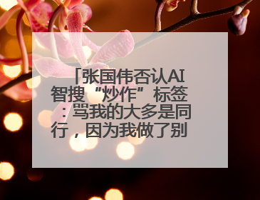 张国伟否认AI智搜“炒作”标签：骂我的大多是同行，因为我做了别人做不了的事