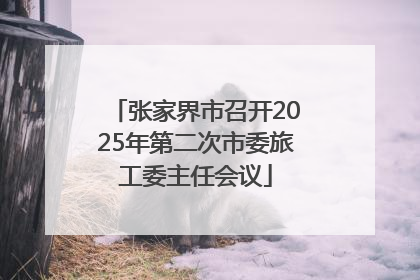张家界市召开2025年第二次市委旅工委主任会议