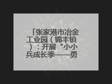 张家港市冶金工业园（锦丰镇）：开展“小小兵成长季——勇敢挑战营”国防启蒙教育活动