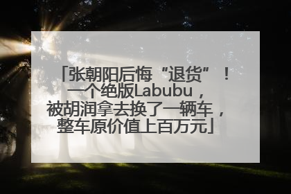 张朝阳后悔“退货”！一个绝版Labubu，被胡润拿去换了一辆车，整车原价值上百万元