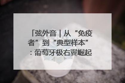 弦外音｜从“免疫者”到“典型样本”：葡萄牙极右翼崛起背后的欧洲困局