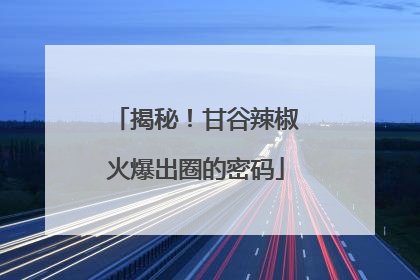 揭秘！甘谷辣椒火爆出圈的密码