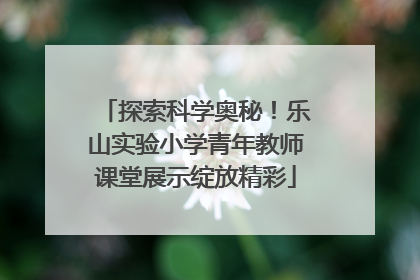 探索科学奥秘！乐山实验小学青年教师课堂展示绽放精彩