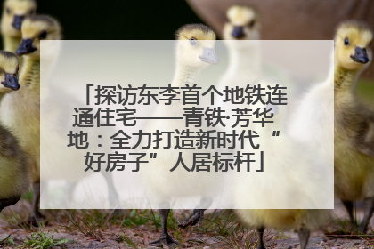 探访东李首个地铁连通住宅——青铁·芳华地：全力打造新时代“好房子”人居标杆