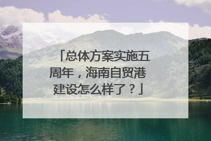 总体方案实施五周年，海南自贸港建设怎么样了？
