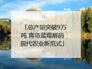 总产量突破9万吨 青岛蓝莓解码现代农业新范式