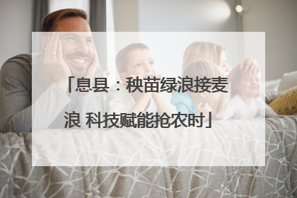 息县：秧苗绿浪接麦浪 科技赋能抢农时