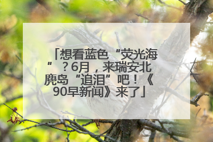 想看蓝色“荧光海”？6月，来瑞安北麂岛“追泪”吧！《90早新闻》来了