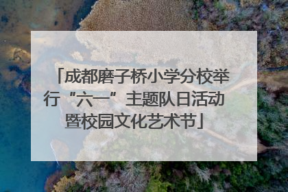 成都磨子桥小学分校举行“六一”主题队日活动暨校园文化艺术节