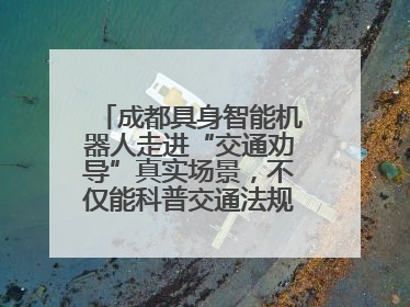 成都具身智能机器人走进“交通劝导”真实场景，不仅能科普交通法规还会讲冷笑话