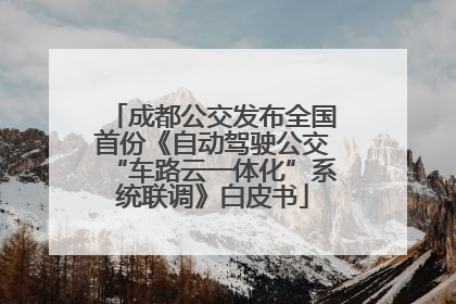 成都公交发布全国首份《自动驾驶公交“车路云一体化”系统联调》白皮书