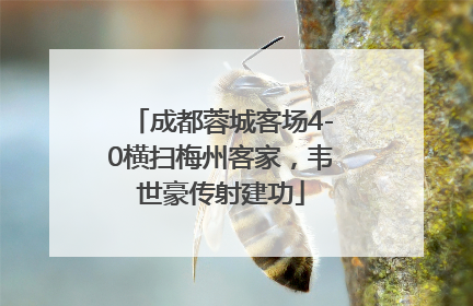 成都蓉城客场4-0横扫梅州客家，韦世豪传射建功