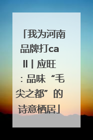 我为河南品牌打call丨应旺：品味“毛尖之都”的诗意栖居