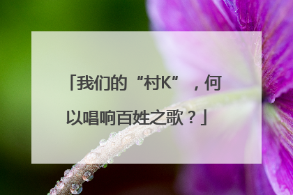 我们的“村K”，何以唱响百姓之歌？