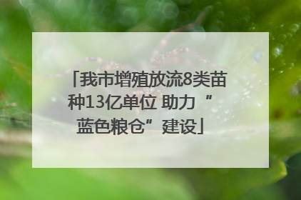 我市增殖放流8类苗种13亿单位 助力“蓝色粮仓”建设