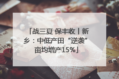 战三夏 保丰收丨新乡：中低产田“逆袭” 亩均增产15%