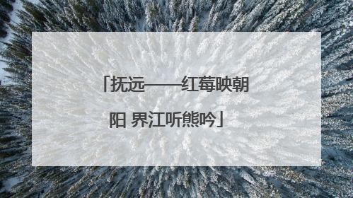 抚远——红莓映朝阳 界江听熊吟