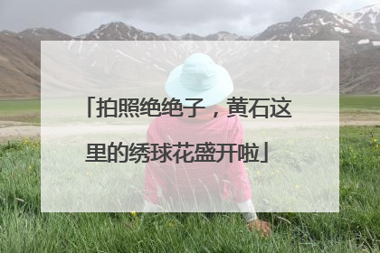 拍照绝绝子，黄石这里的绣球花盛开啦