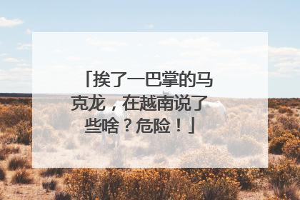挨了一巴掌的马克龙，在越南说了些啥？危险！