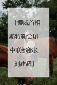 挪威首相斯特勒会见中联部部长刘建超