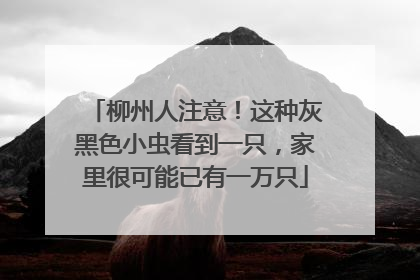 柳州人注意！这种灰黑色小虫看到一只，家里很可能已有一万只