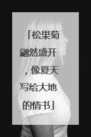 松果菊翩然盛开，像夏天写给大地的情书