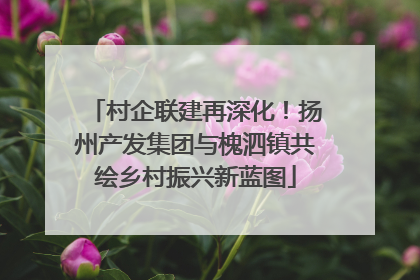 村企联建再深化！扬州产发集团与槐泗镇共绘乡村振兴新蓝图