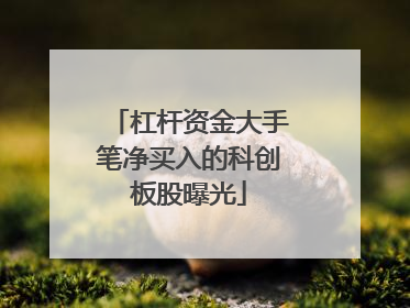 杠杆资金大手笔净买入的科创板股曝光