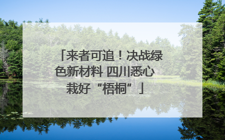 来者可追！决战绿色新材料 四川悉心栽好“梧桐”