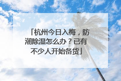 杭州今日入梅，防潮除湿怎么办？已有不少人开始备货