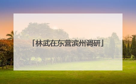 林武在东营滨州调研