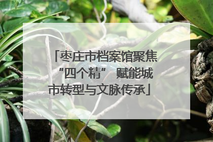 枣庄市档案馆聚焦“四个精” 赋能城市转型与文脉传承